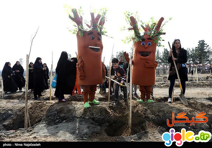 گیگل ، موتور جستجوی گیگل